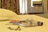 Hotel Artuklu Kervansarayi - Special Class