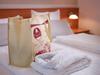 Hotel Pyramide Bad Windsheim