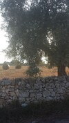 Agroturismo Masseria Gianca