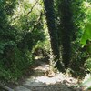 Camping Gabicce Monte