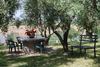 Agroturismo Il Giardino Degli Ulivi