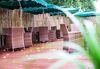 Relaxed Season Hotel Longcheng Branch