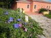Agroturismo Country House Vignola Mare