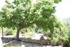 Apartamento Citai Garden House