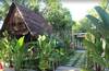 Hotel The Green Home