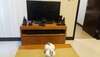 Condo Apartment In Mactan Newtown