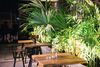 Hostal The Secret Garden