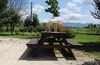 Agroturismo Agriturismo Il Barco