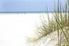 Four Winds F15 - Two Bedroom Condo