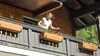 Pension Haus Wildbach