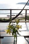 Manta Raya Hotel