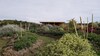Cabanes Tr�sors de Campagne