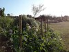 Cabanes Tr�sors de Campagne
