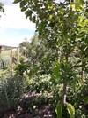 Cabanes Tr�sors de Campagne