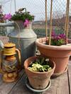 Bed & Breakfast Oca Carolina