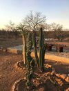 Thula Private Lodge