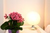 Apartamento Gardagate - La Castellana 2