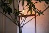 Hostal Chaho Hostel Nirasaki / Outdoor Base