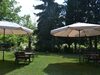Serene Holiday Home With Garden, Pool, Terrace, Deckchairs