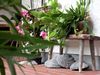 Modern Apartment In Sankt Martin Bei Lofer With Garden