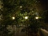 Apartamentos Nagoya Motoyama House A