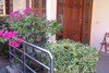 6 Bedroom Twin Villas On Beach Front Resort 11/12