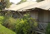 Hotel Aamod Bagh Tola Lodges - Bandhavgarh