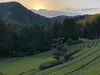 Yui Valley