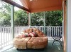 Bed & Breakfast Old Irish Bandb @ Patricks' Pastures Alpaca Ranch
