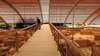 Kyknos Beach Hotel & Bungalows - All Inclusive