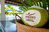 Hotel Rama Beach Resort And Villas