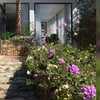 Bed & Breakfast La Collegiata