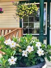 Ellis House Bed & Breakfast
