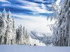 Modern Apartment On A 10-minute Walk From Winterberg