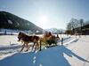 Charming Chalet In Sankt Georgen Ob Murau On Ski Slopes