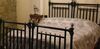 Bed & Breakfast La Corte Sannita