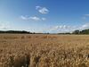 Bed & Breakfast Exelby Green Dragon