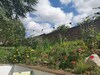 Bed & Breakfast Exelby Green Dragon