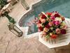 Hotel Riad Le Coq Berbere