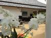 Aparthotel Nadivana Serviced Apartments
