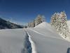 Posada Berghaus Alpenr�sli