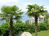 Apartamento Miralago 4