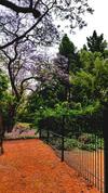 Apartamento Duplex En Palermo Hollywood