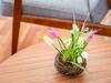 Lovely Holiday Home In Kaprun With Terrace