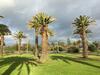 Apartamento Elwood By The Beach