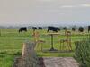 Byfrons Phillip Island Farmhouse
