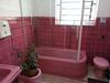 Casinha Tropical