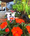 Hostal Chal�s Do Rancho Canastra