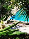 Casa de Campo Com Piscina Na Praia Em Mariscal-sc - Um Ref�gio