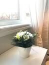Bed & Breakfast Cozy Room - Olympic Stadium & Downtown Montreal #7